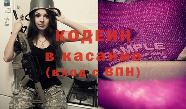 сатива Арсеньев