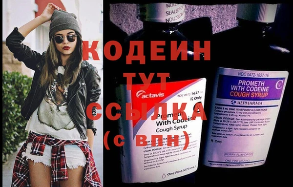 хмурый Аркадак