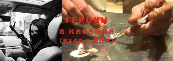 хмурый Аркадак
