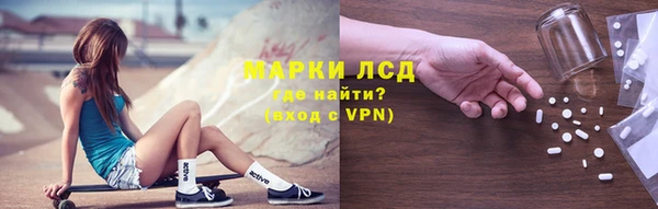 хмурый Аркадак
