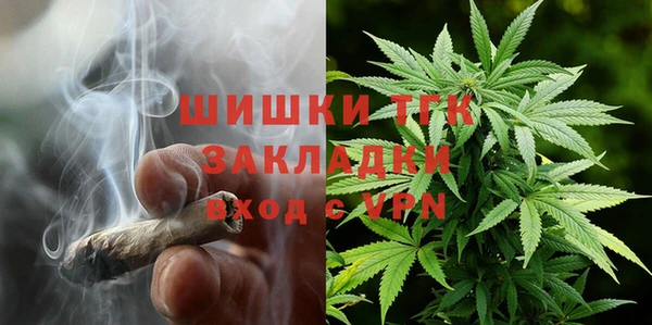 сатива Арсеньев