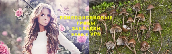 сатива Арсеньев