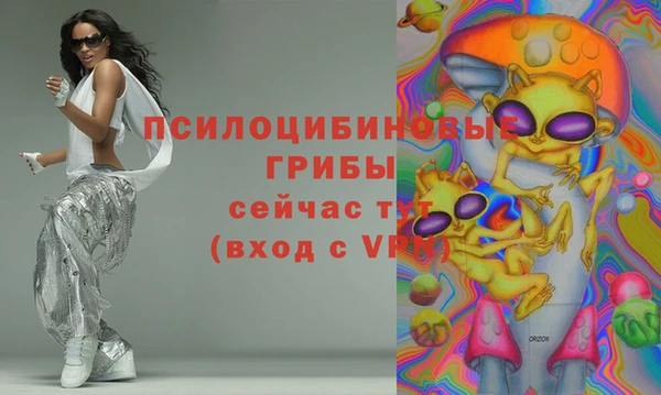 хмурый Аркадак