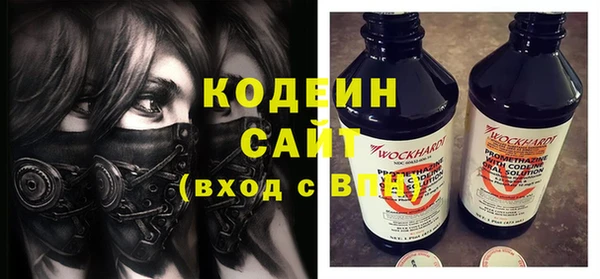 хмурый Аркадак