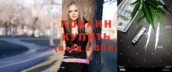 сатива Арсеньев