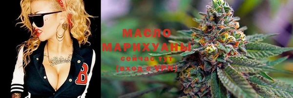 хмурый Аркадак