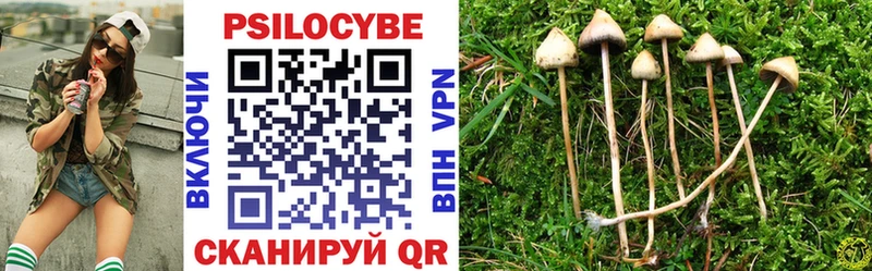Галлюциногенные грибы Psilocybine cubensis  Малоярославец 